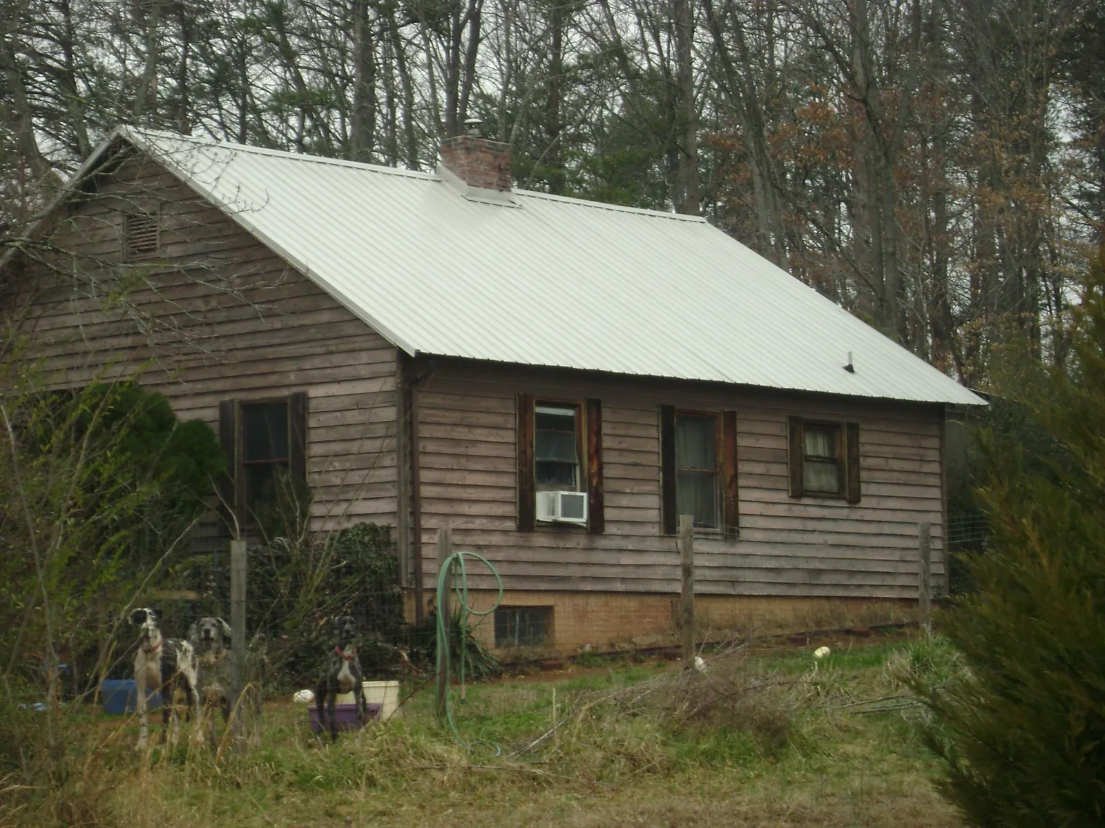 White metal roof on an old wood sided farmhouse, from a Asphalt Shingle Roof Repair job in Comstock Park